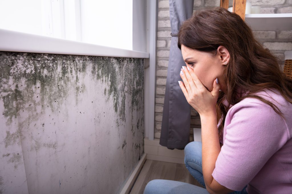 Shocked Woman Looking At Mold On Wall Side View Of A Shocked Young Woman Looking At Mold On Wall