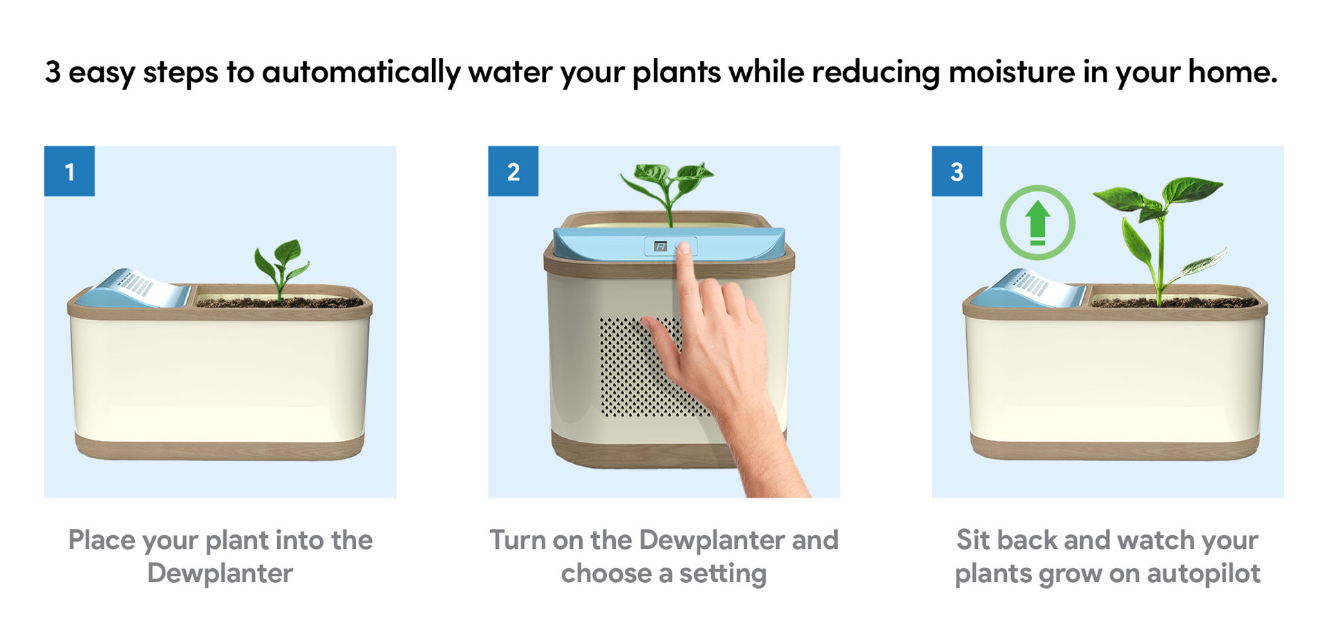 Dewplanter-howto