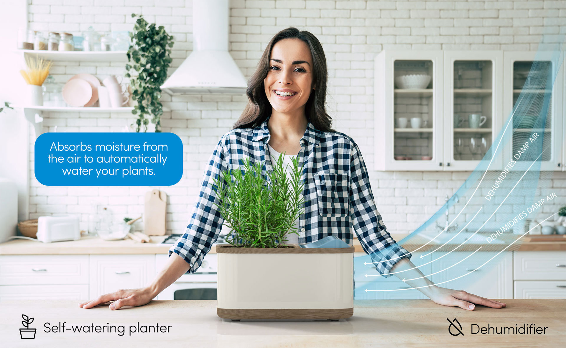 dewplanter_woman-rosemary-Recovered